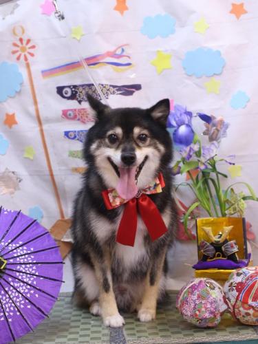 20240518琥太郎くん